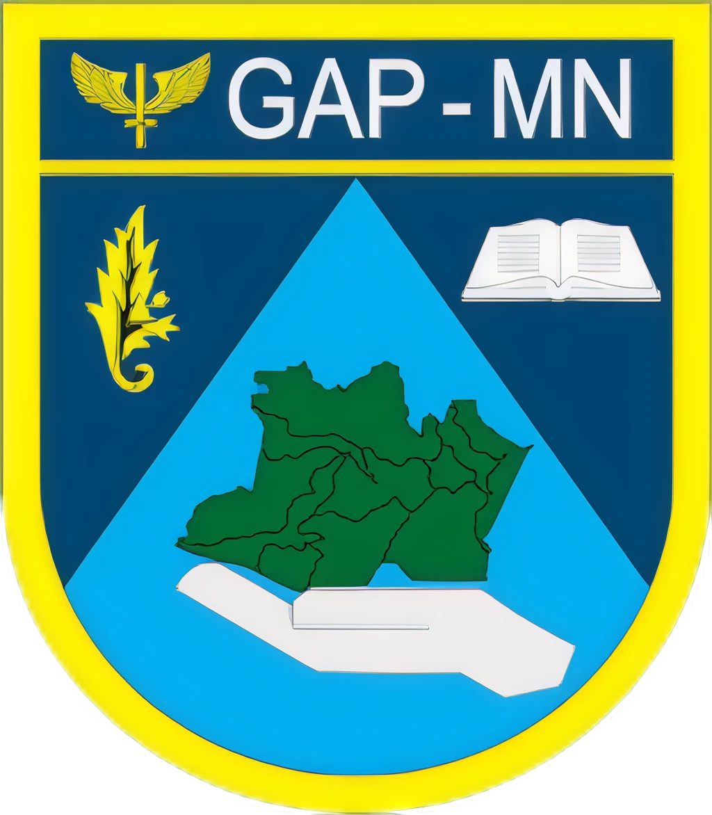 GAP-MN